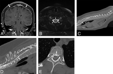 FIG 2.