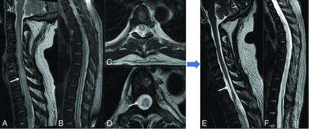 FIG 3.