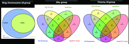 FIG 3.