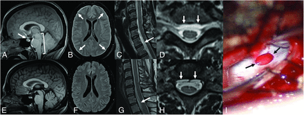 FIG 1.
