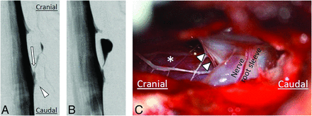 FIG 3.