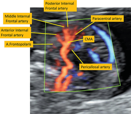 Fig 2.