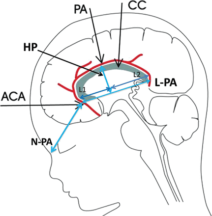 Fig 3.