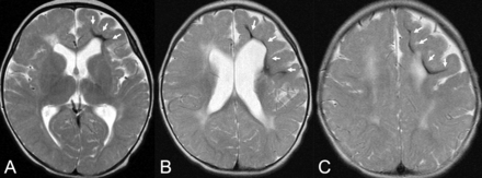FIG 4.