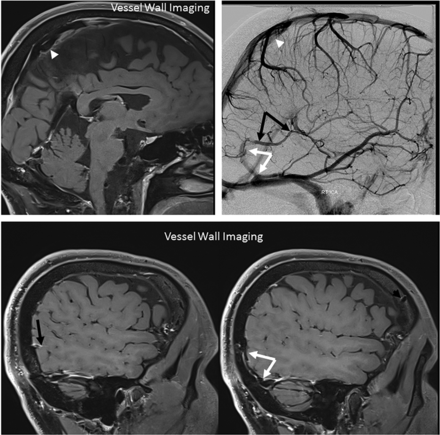 FIG 7.