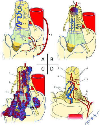 FIG 2.