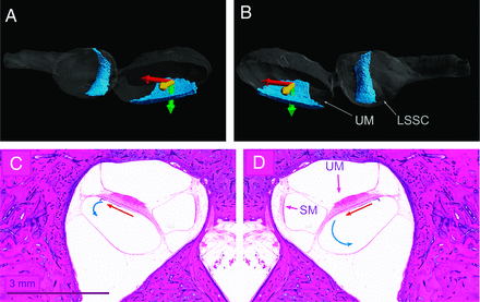 FIG 3.