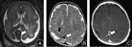 FIG 9.