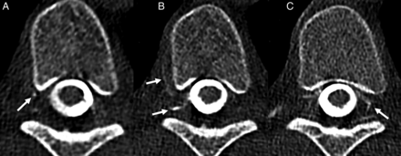 FIG 5.