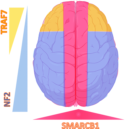 FIG 3.