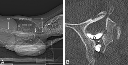 FIG 1.