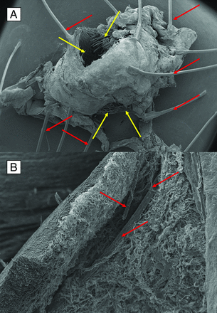 FIG 4.