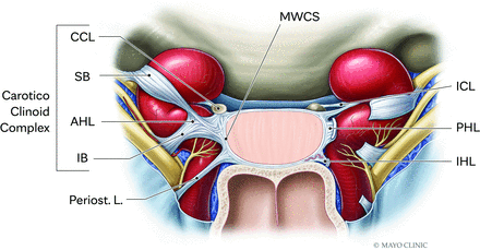 FIG 2.
