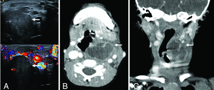 FIG 5.