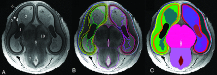FIG 1.