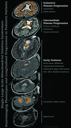 FIG 4.