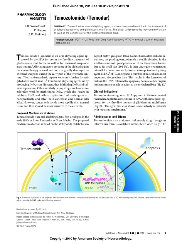 PDF extract preview